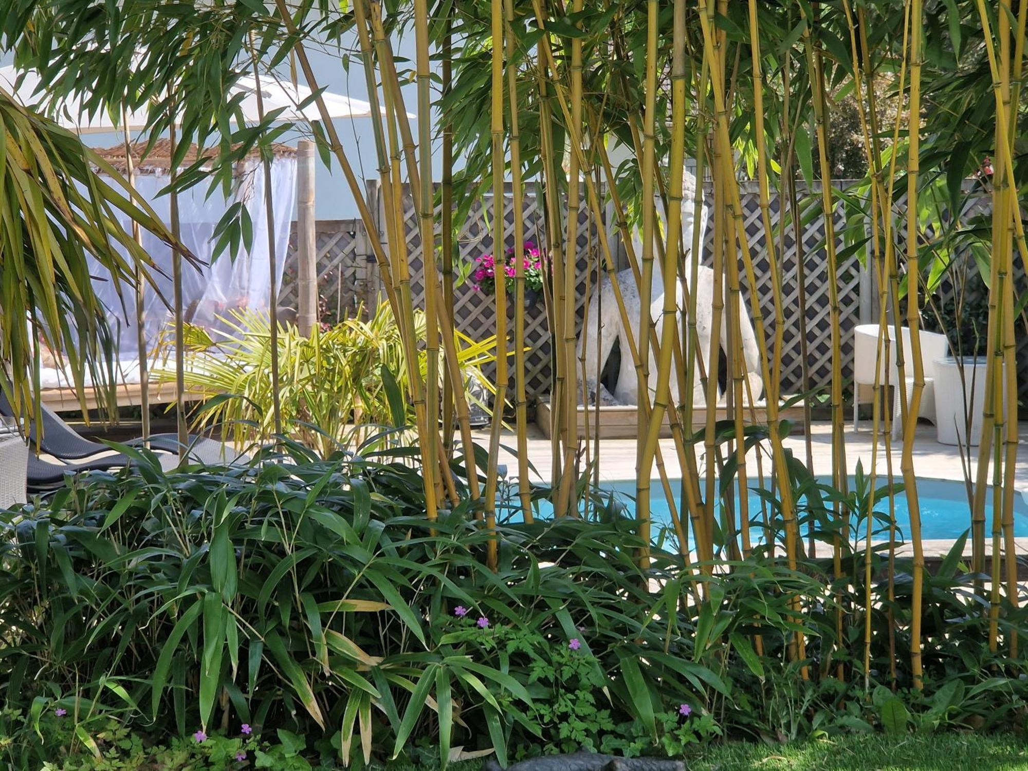 La Serenite Balinaise, Chambre Et Sdb Privee, Jardin , Piscine Et Jacuzzi En Saison, Pres De Chantilly, Parc Asterix Et Cdg Et Paris En 20' أوري لا فيل المظهر الخارجي الصورة